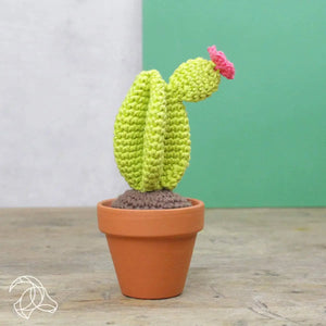 Cacti crochet kit - Hardicraft