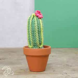 Cacti crochet kit - Hardicraft