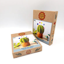 Load image into Gallery viewer, Cactus Pincushion Felt Sewing Kit