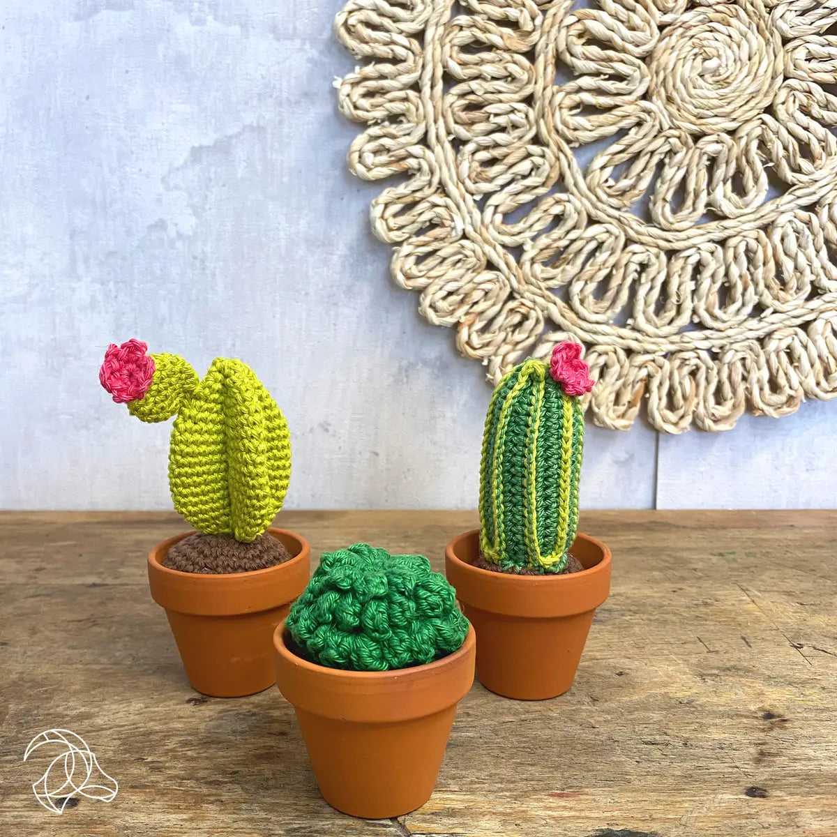 Cacti crochet kit - Hardicraft