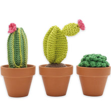 Load image into Gallery viewer, Cacti crochet kit - Hardicraft